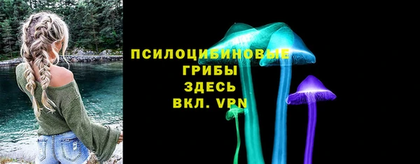 стафф Гусев