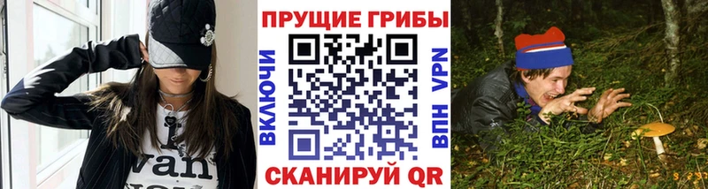 Псилоцибиновые грибы Psilocybe  Краснокамск 